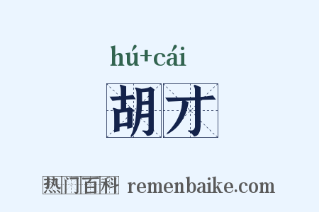 胡才是什么意思的图片